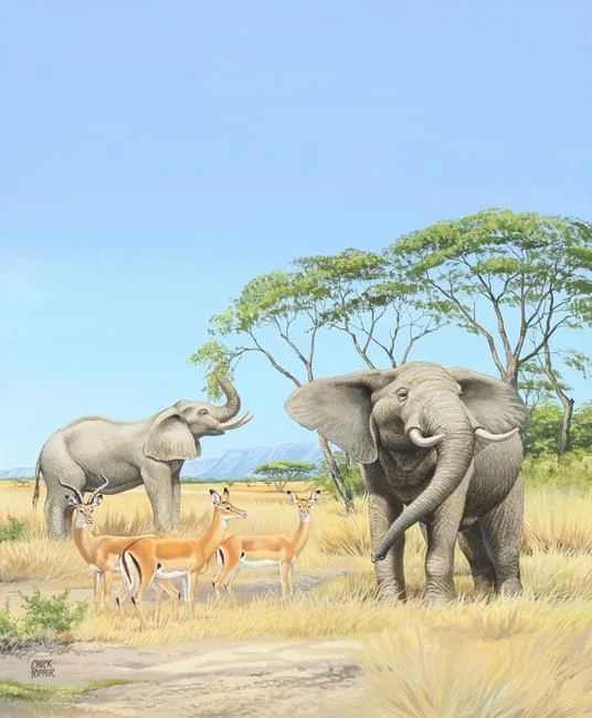 Elephants in Grassland by Chuck Ripper, Gouache/Watercolor on Masonite, sold Aug 2021