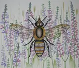 Erik Nitsche, Honey Bee