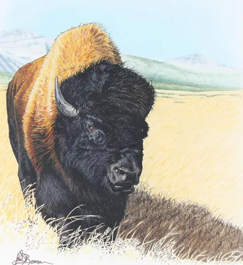 John Benson, America the Beautiful/Buffalo on Prairie, Mixed Media on Paper