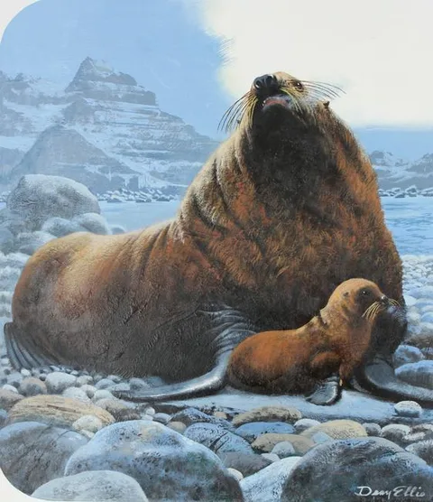 Dean Ellis, Northern (Steller) Sea Lion, Oil on Masonite