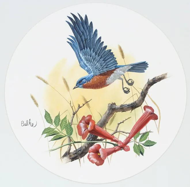 Eastern Bluebird by Don Balke, Watercolor on Illustration Board, sold Sep 2021