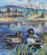 Ivan Kozlov, Greater Scaup