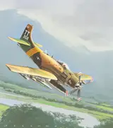 Jack Fellows, A-1J Skyraider