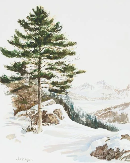 White Pine Tree in Winter by John Tayson, Watercolor on Water Color Paper, sold Sep 2021