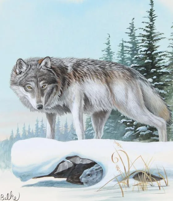 Gray Wolf by Don Balke, Watercolor on Illustration Board, sold Nov 2021