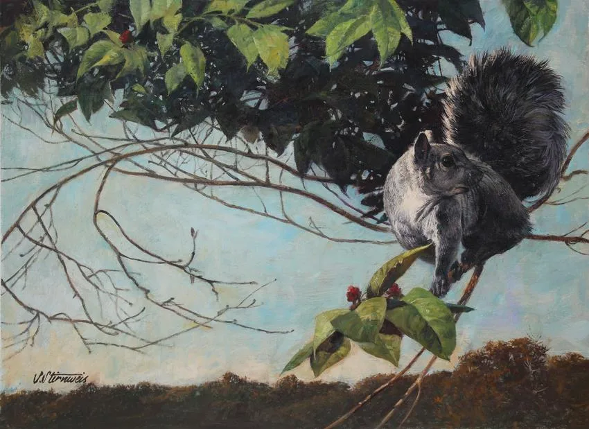 Gray Squirrel by Shannon Stirnweis, Oil on Illustration Board, sold Nov 2021