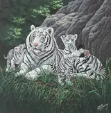R.G. Finney, White Siberian Tiger Mother with Cubs