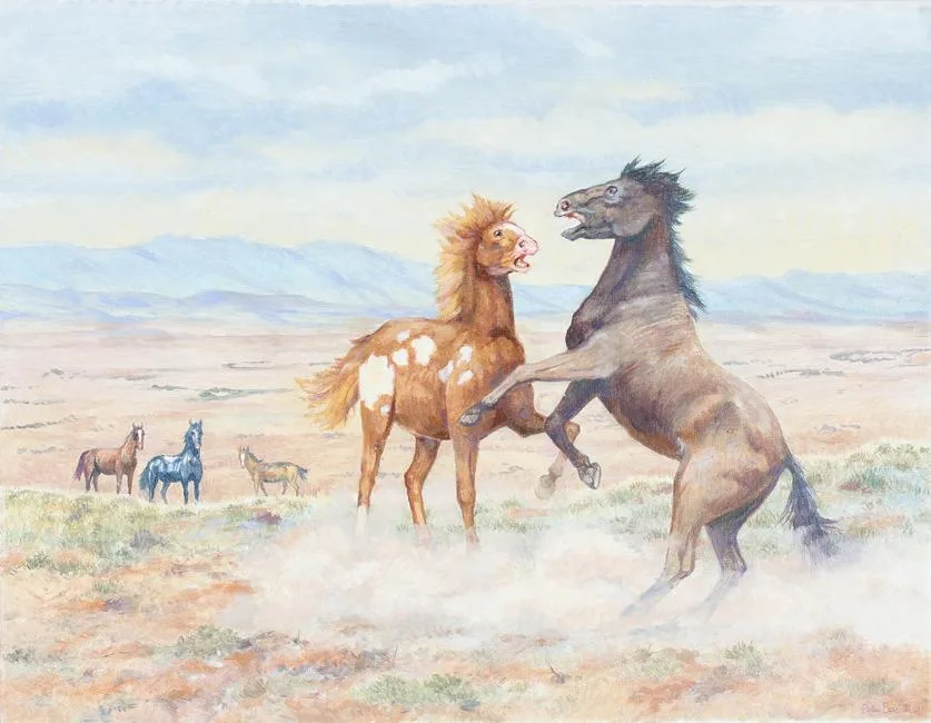 Peter Barrett, Mustangs, Oil on Canvas