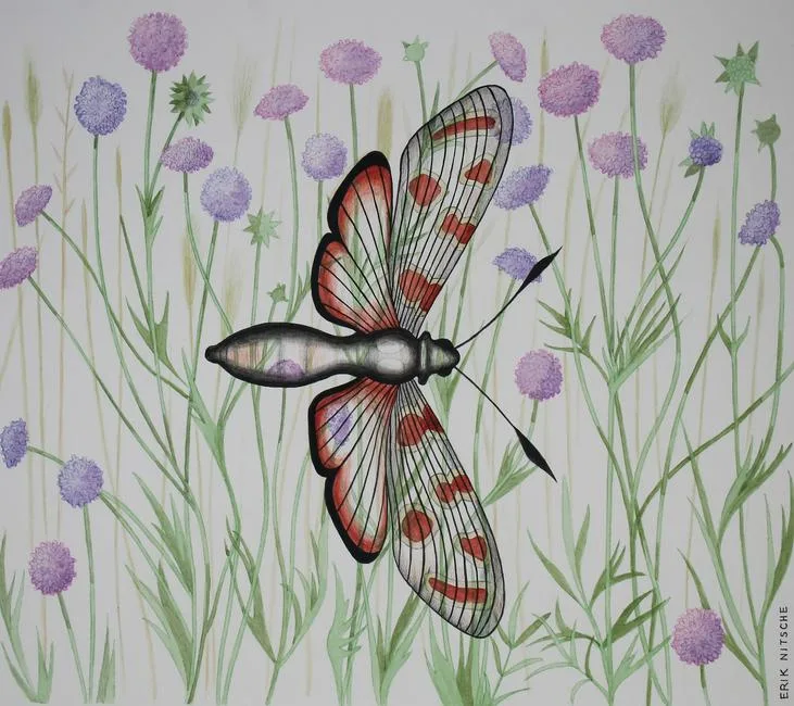 Leaf Skeletonizer by Erik Nitsche, watercolor on Illustration Board, sold Apr 2022