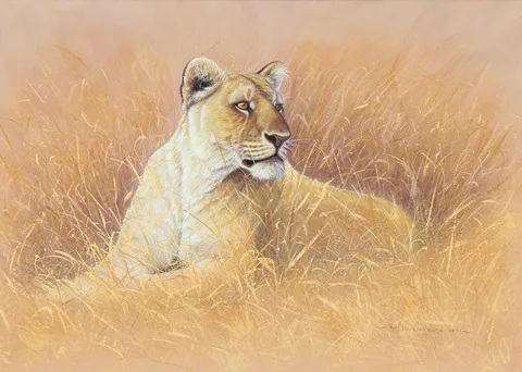 Kim Brooks, Untitled, 1991, Gouache on paper