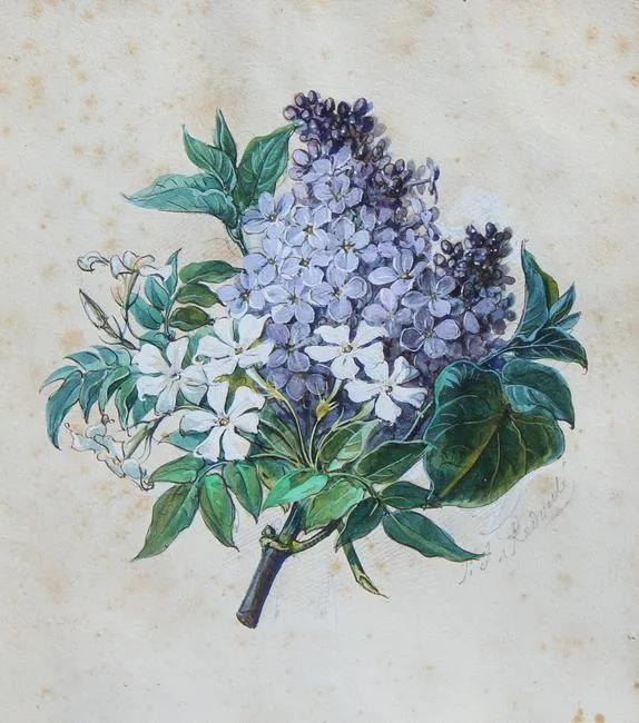 Untitled by Pierre-Joseph Redouté, Watercolor/Gouache on Paper, sold Jun 2022