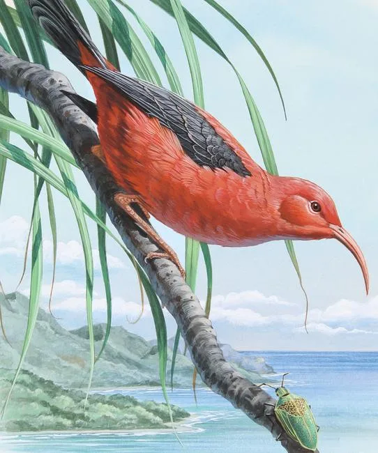 Liwi by Don Balke, Watercolor on Illustration Board, sold Jun 2022