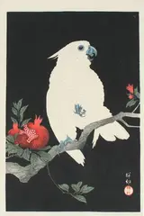 Ohara Koson, Cockatoo and Pomegranate