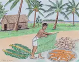 Tobolar Coconut Tree; Soaking Husk in Sea Water, Helmuth Stone Gallery 2023