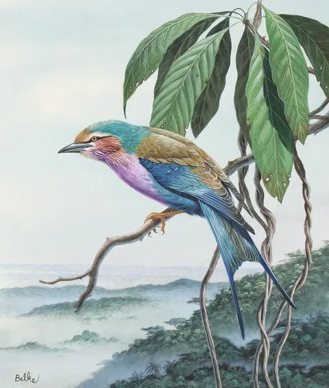 Lilac-breasted Roller Bird by Don Balke, Watercolor on Illustration Board, sold Feb 2023