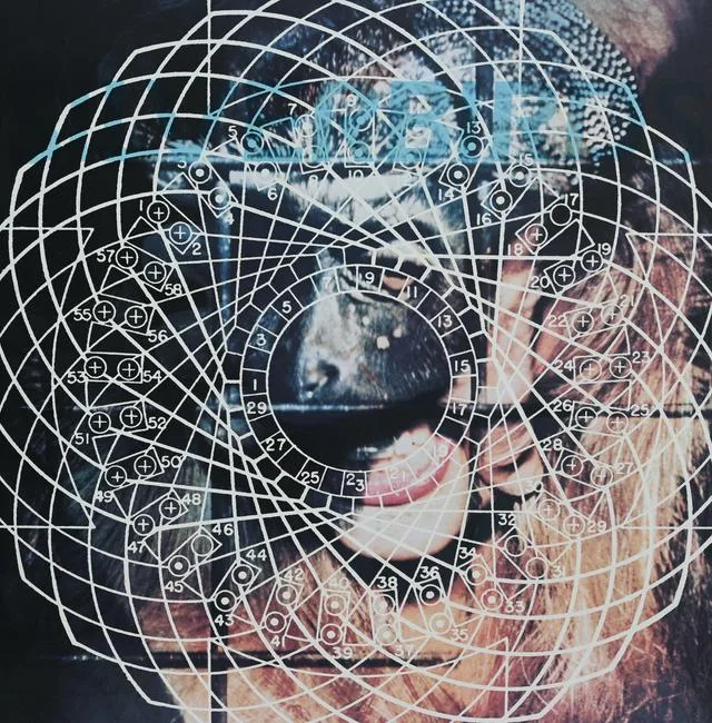 Silverbirds by James Rosenquist, Lithograph, sold Apr 2023