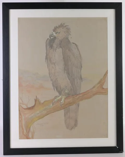 Julien Dupré, Study of a Philippine Eagle, 1908, Graphite & Watercolor on Paper
