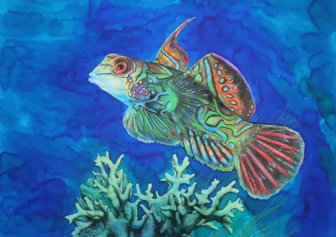 Mandarinfish by Chris Calle, Mixed Media on Illustration Board, sold Apr 2023