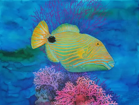 Orangestriped Triggerfish Swimming by Chris Calle, Mixed Media on Illustration Board, sold Apr 2023