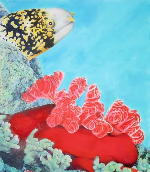 Snowflake Moray Eel and Spanish Dancer by Chris Calle, Mixed Media on Illustration Board, sold Apr 2023