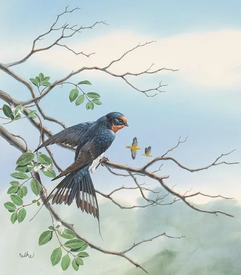 Barn Swallow by Don Balke, Watercolor on Illustration Board, sold Apr 2023