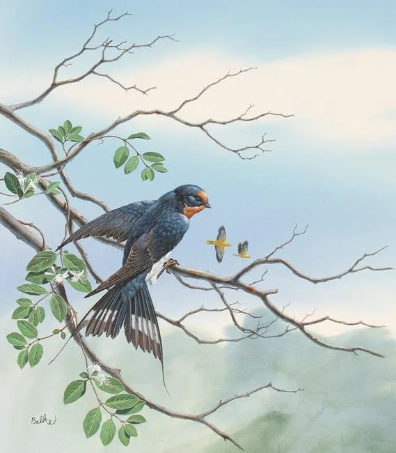 Barn Swallow by Don Balke, Watercolor on Illustration Board, sold Apr 2023