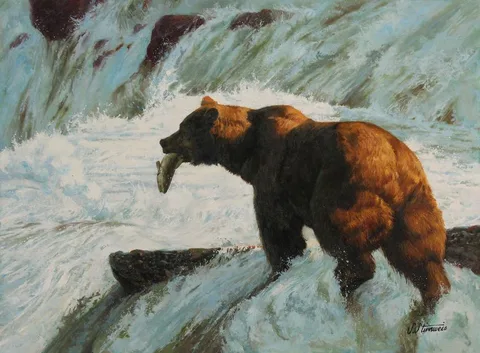 Alaska Brown Bear by Shannon Stirnweis, Oil on Illustration Board, sold Jun 2023