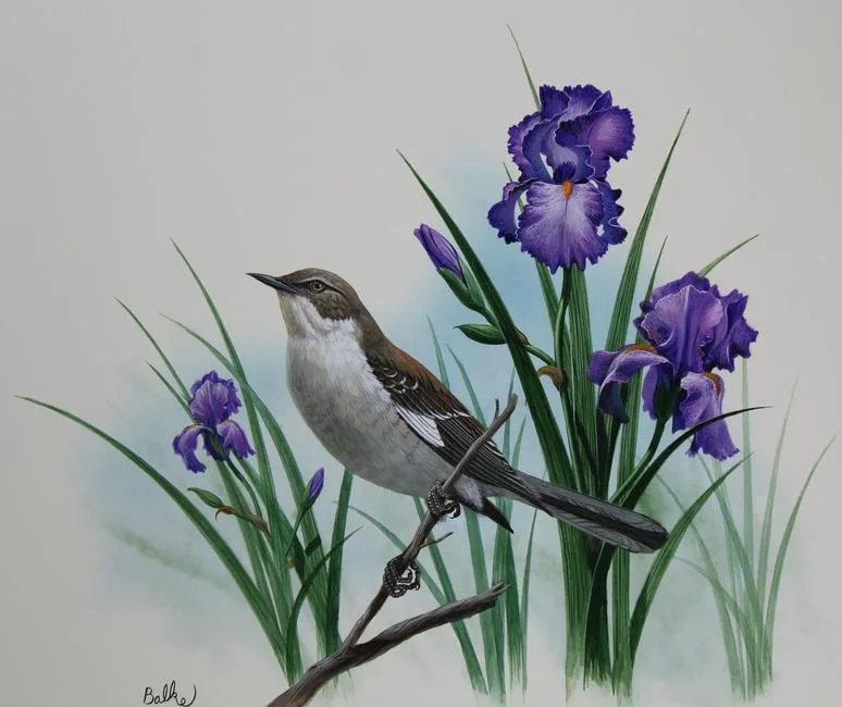 Mockingbird and Iris by Don Balke, Watercolor on Illustration Board, sold Jun 2023