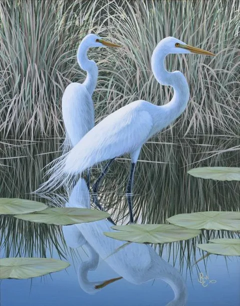 Ben W Essenburg, Bernier's Great Egrets, Acrylic on Canvas