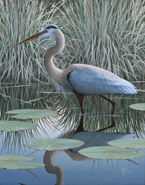 Ben W Essenburg, Bernier's Great Blue, Acrylic on Canvas