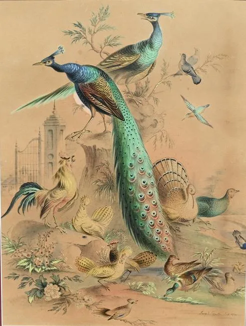 Joseph Lindon Smith, Untitled, Watercolor and Gouache