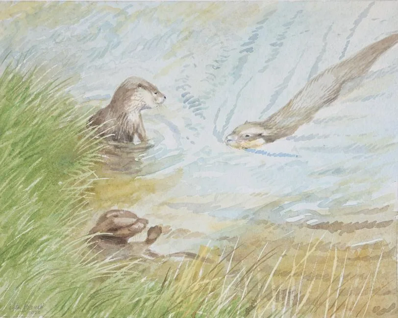 River Otters by Peter Barrett, Watercolor, sold Aug 2023