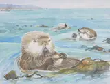 Sea Otters, Helmuth Stone Gallery 2023