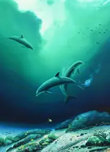 Robert Wyland, Children of the Sea