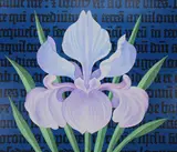 Iris - Manuscript Illumination, Helmuth Stone Gallery 2023
