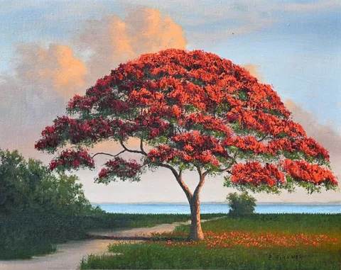 Ellis Buckner, Poinciana, Oil on Canvas