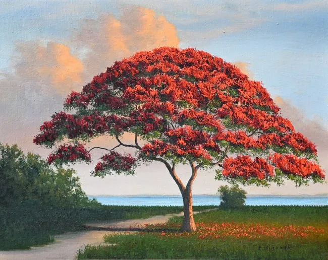 Ellis Buckner, Poinciana, Oil on Canvas