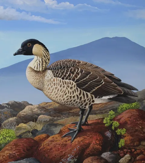 Chuck Ripper, Hawaiian Goose, Gouache/Watercolor on Masonite