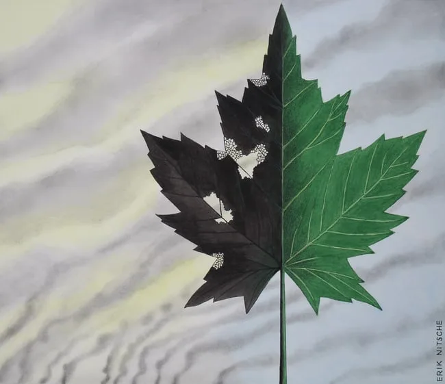 Damaged Leaf by Erik Nitsche, Mixed Media on Illustration Board, sold Apr 2024