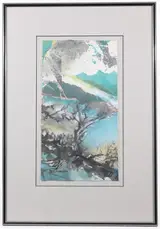 Syd Solomon, Tower Island, Galapagos