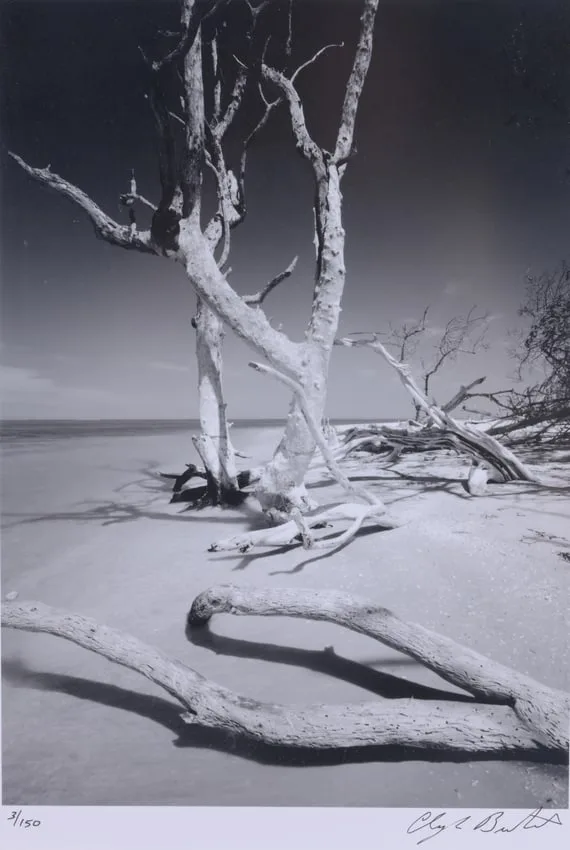 Cayo Costa #2 by Clyde Butcher, 1988, Photograph, sold Jun 2024