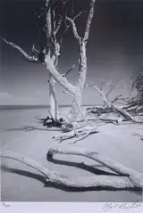 Clyde Butcher, Cayo Costa #2