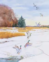 Mallard Duck, Helmuth Stone Gallery 2024