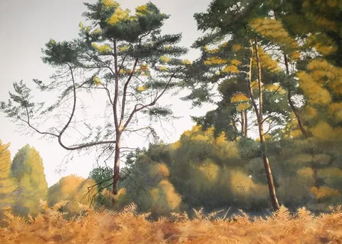 Peter Barrett, Bent Pine Branch, Watercolor on Paper