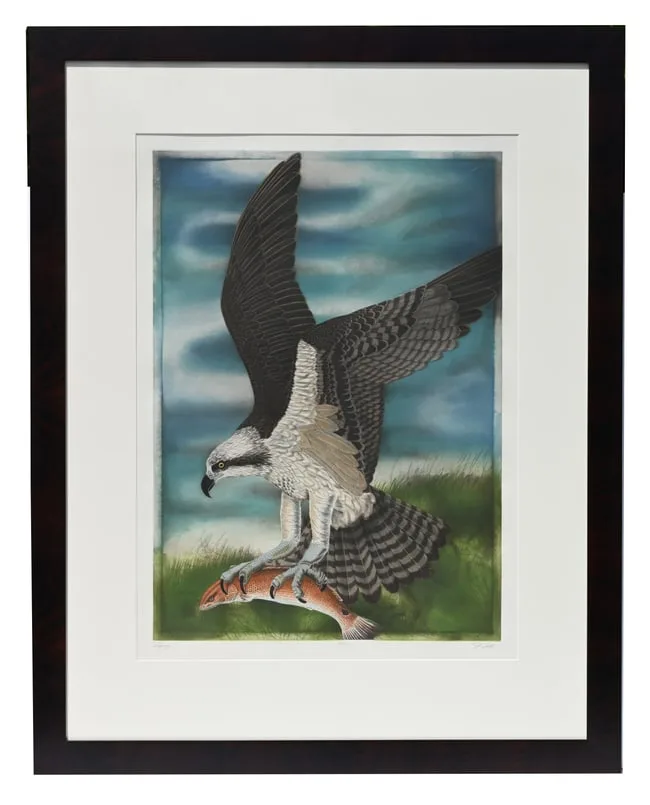 Osprey by John Costin, Hand-colored etchings on wove paper, offered Aug 2024