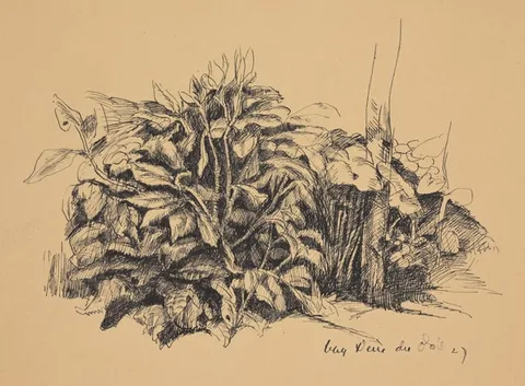 Guy Pène du Bois, Untitled, ink