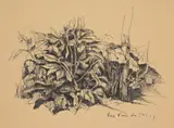 Guy Pène du Bois, Untitled