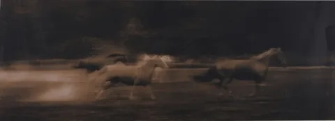 Michael Eastman, Horse #26, Photograph
