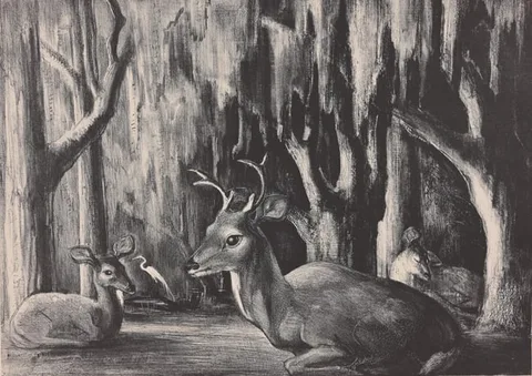 Florida Deer Resting by Victoria Hutson Huntley, Lithograph, sold Oct 2024