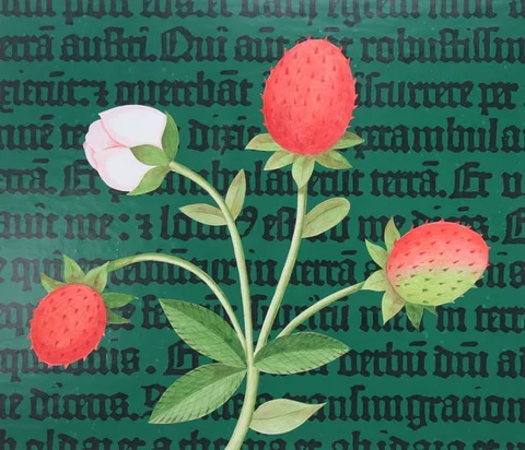 Erik Nitsche, Strawberry - Manuscript Illumination, Mixed Media on Illustration Board